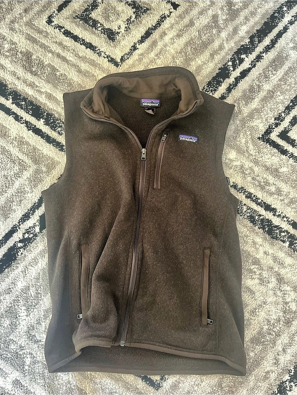 Patagonia Fleece Vest in Brown